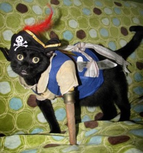 kitty pirate